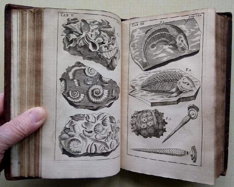 Image for Three physico-theological discourses, concerning I. The primitive chaos, and creation of the world. II. The general deluge, its causes and effects. III. The dissolution of the world, and future conflagration