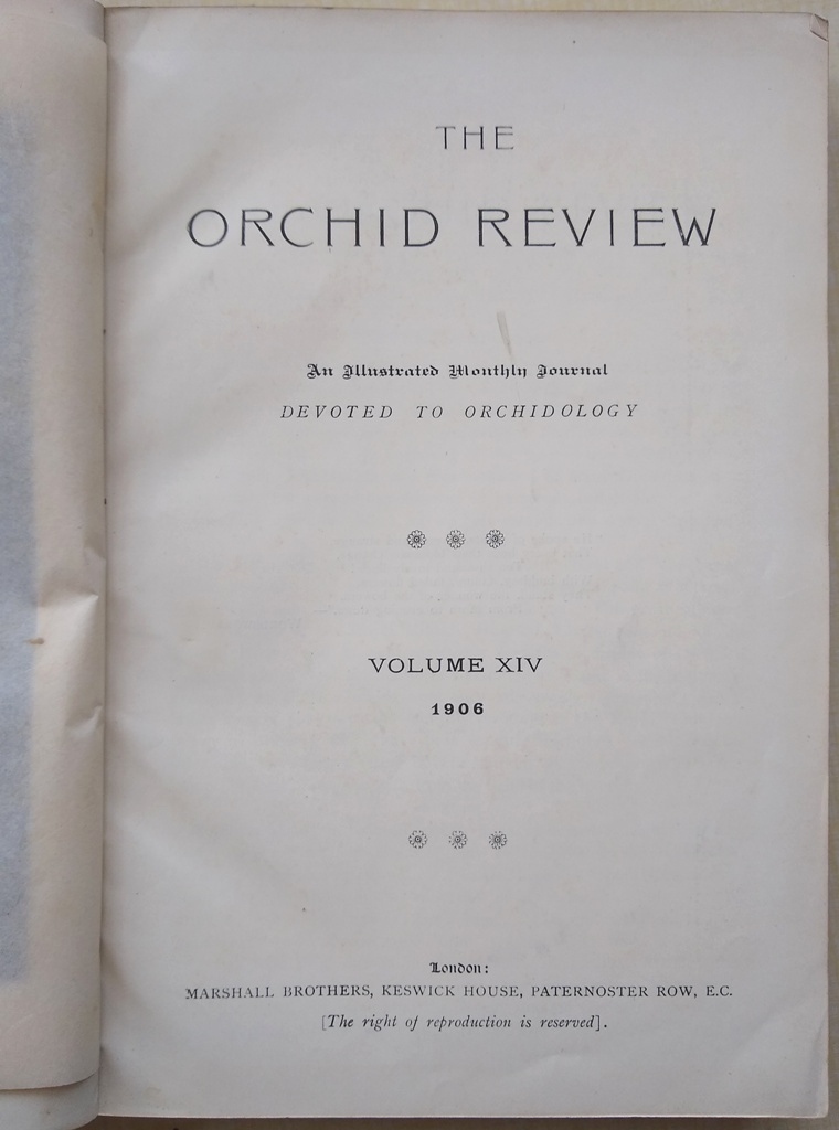 Image for The Orchid Review - an illustrated monthly journal devoted to orchidology - Volume XIV