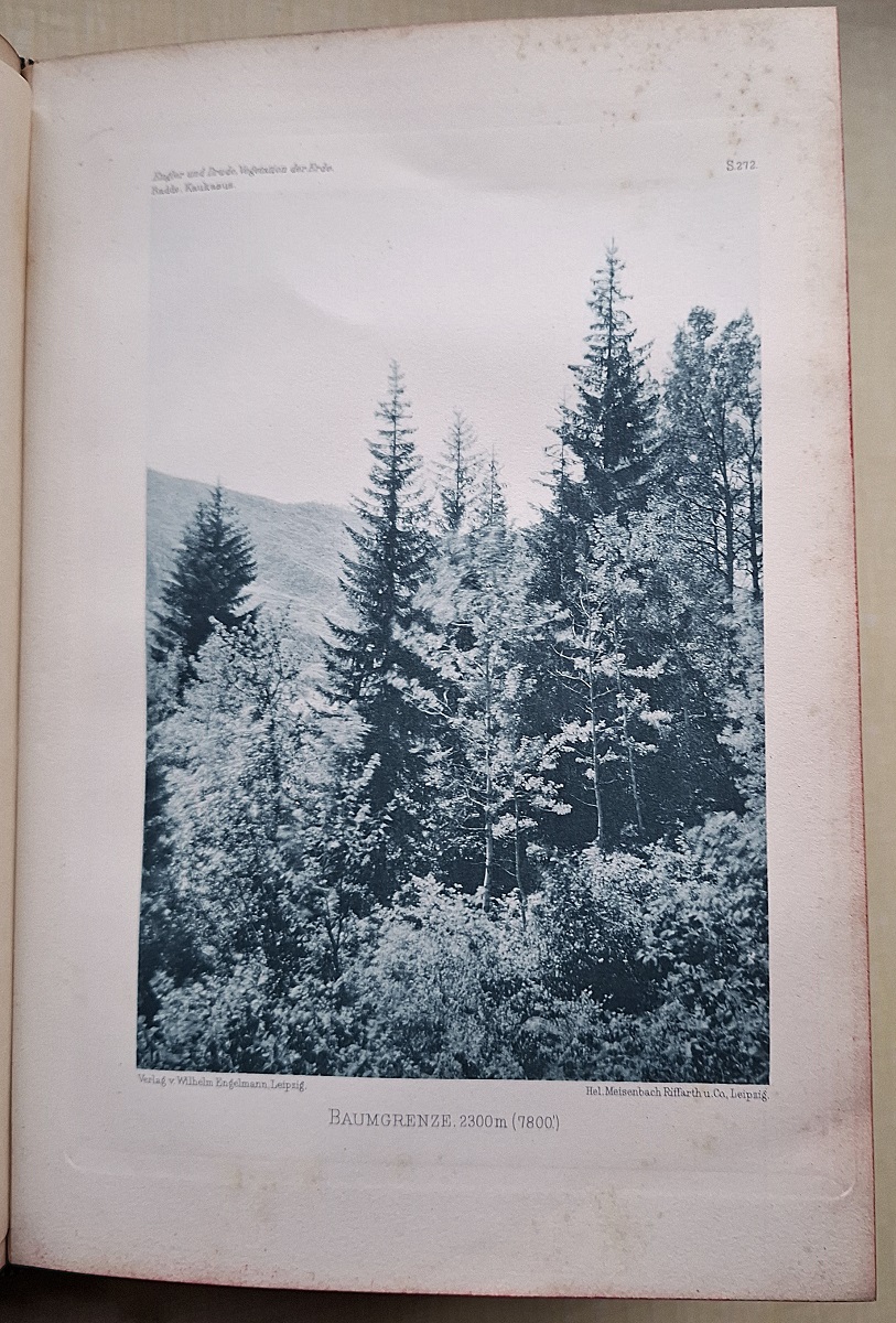 Grundzuge der Pflanzenverbreitung in den Kaukasuslandern von der unteren Wolga uber den Manytsch-Scheider bis zur Scheitelflache Hocharmeniens. ( Die Vegetation der Erde / herausgegeben von A. Engler - Band III) [Will Ingwersen's copy]