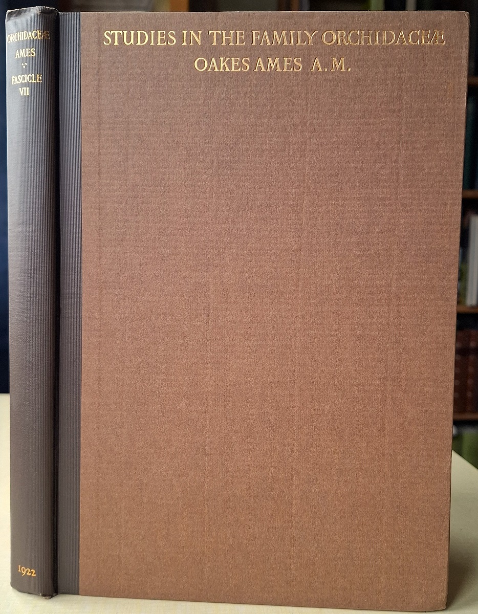 Pogonia and its Allies in the Northeastern United States and Other Papers [Orchidaceae - Illustrations and Studies of the Family Orchidaceae - Fascicle VII]