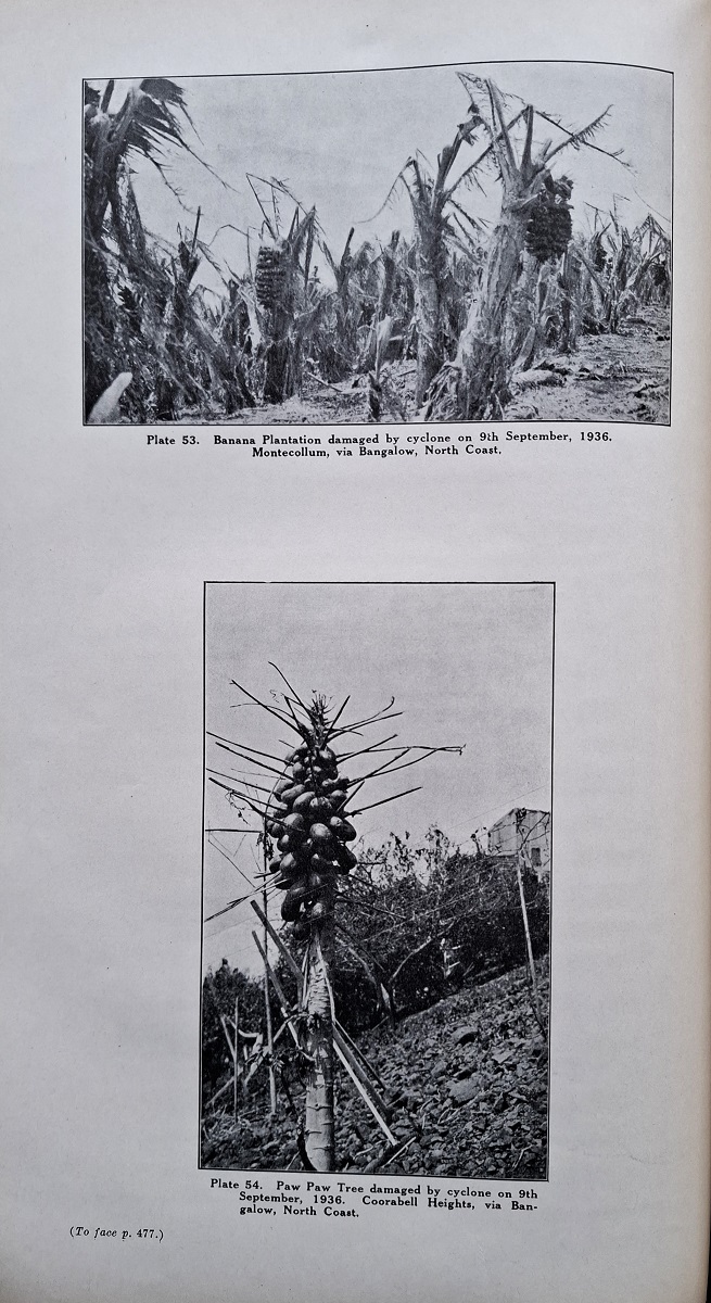 Report of the Royal Commission of Inquiry into the Fruit Industry of New South Wales