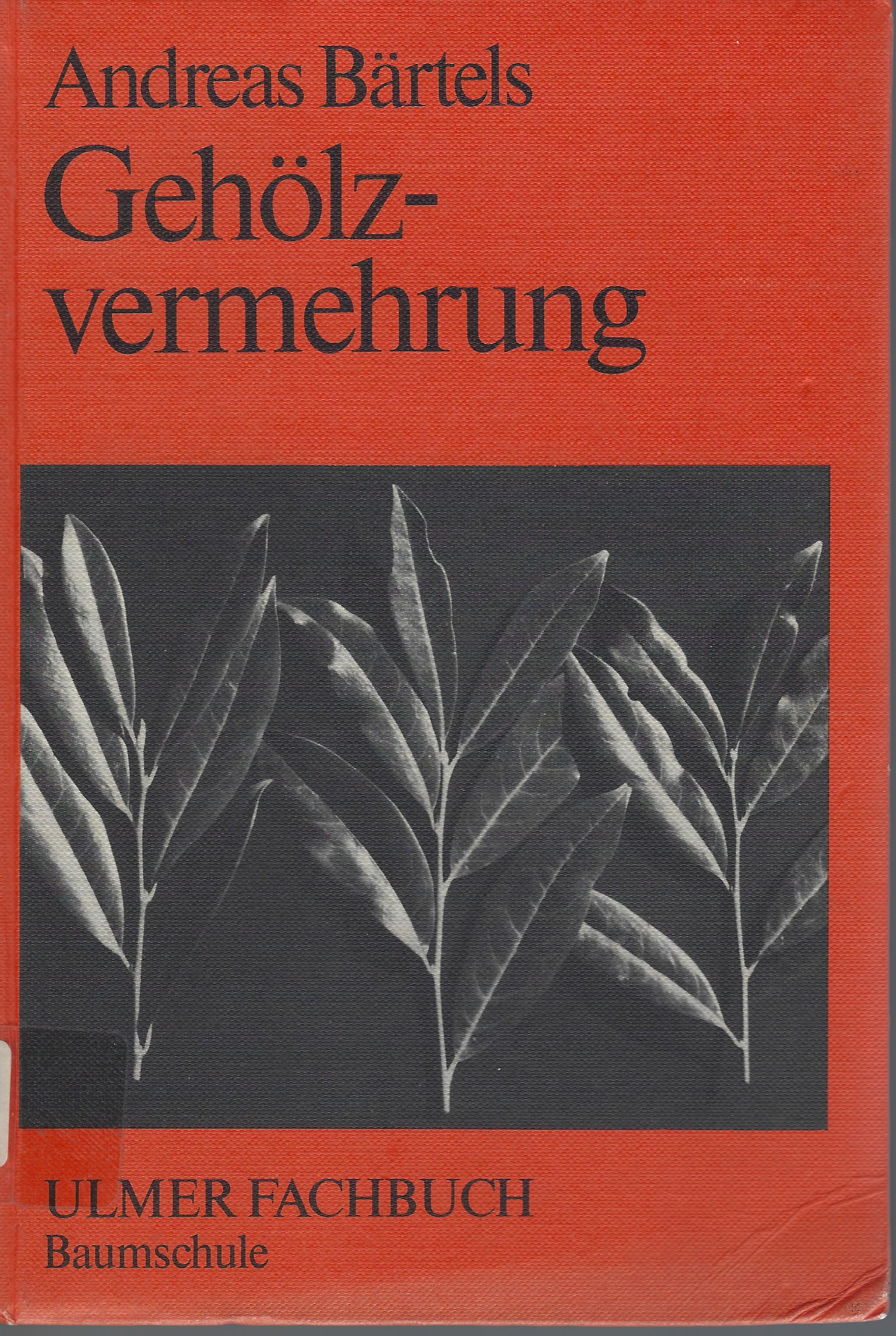 Geholz-vermehrung