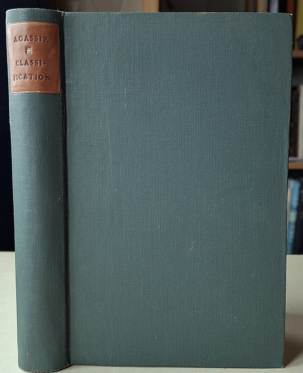 An Essay on Classification