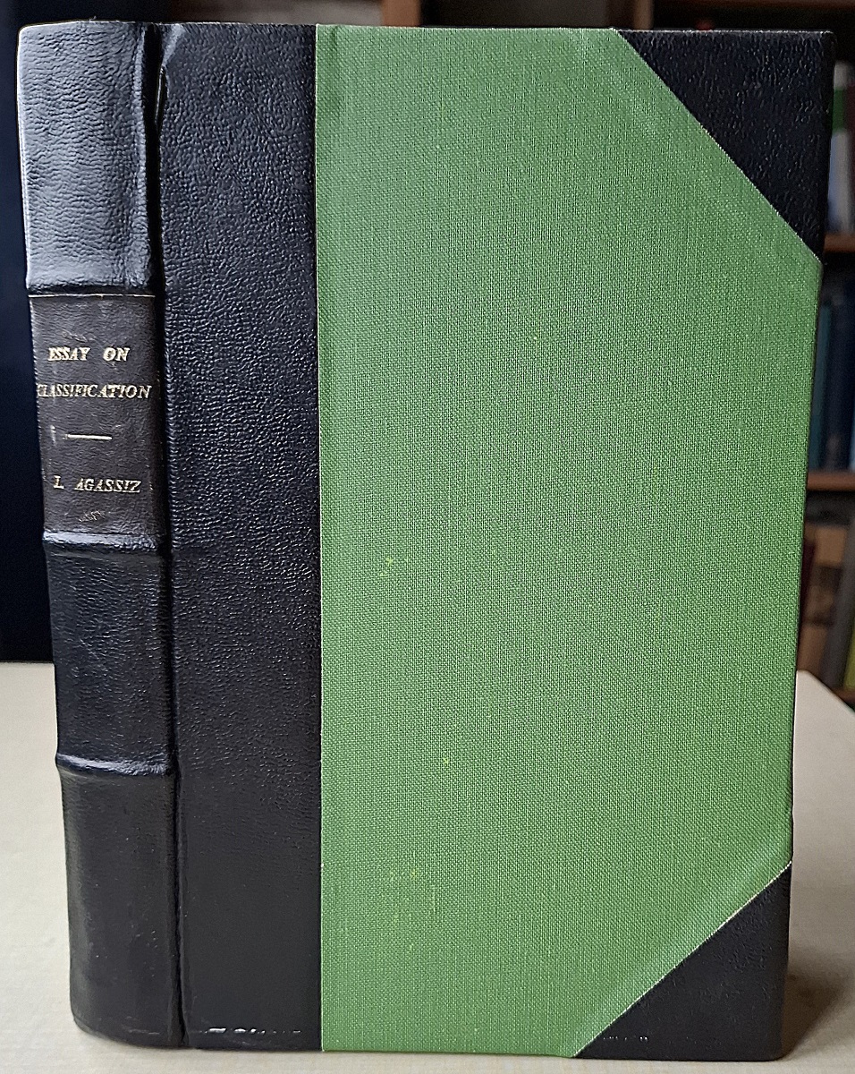 An Essay on Classification