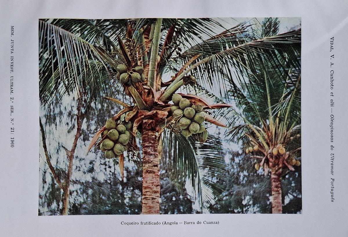 Oleaginosas do Ultramar Portugues. Volumes 1 & 2. [Oil Plants of Portuguese Colonies]