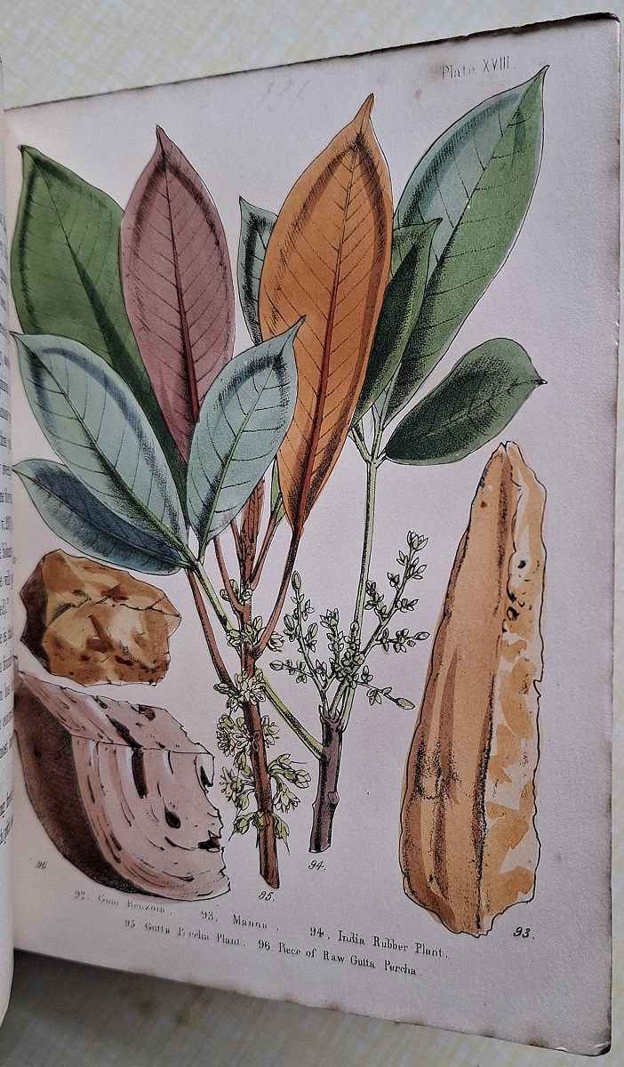 Popular Economic Botany; or description of the botanical and commercial characters of the principal articles of vegetable origin, used for food, clothing, tanning, dyeing, building, medicine, perfumery, etc