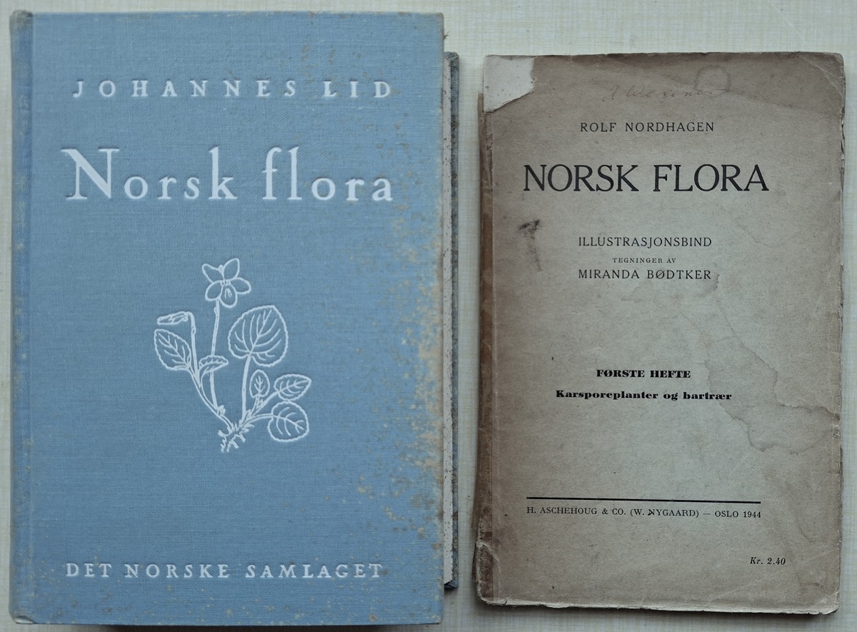 Norsk Flora (with Nordhagen's Illustrasjonsbind, Forster Heft)