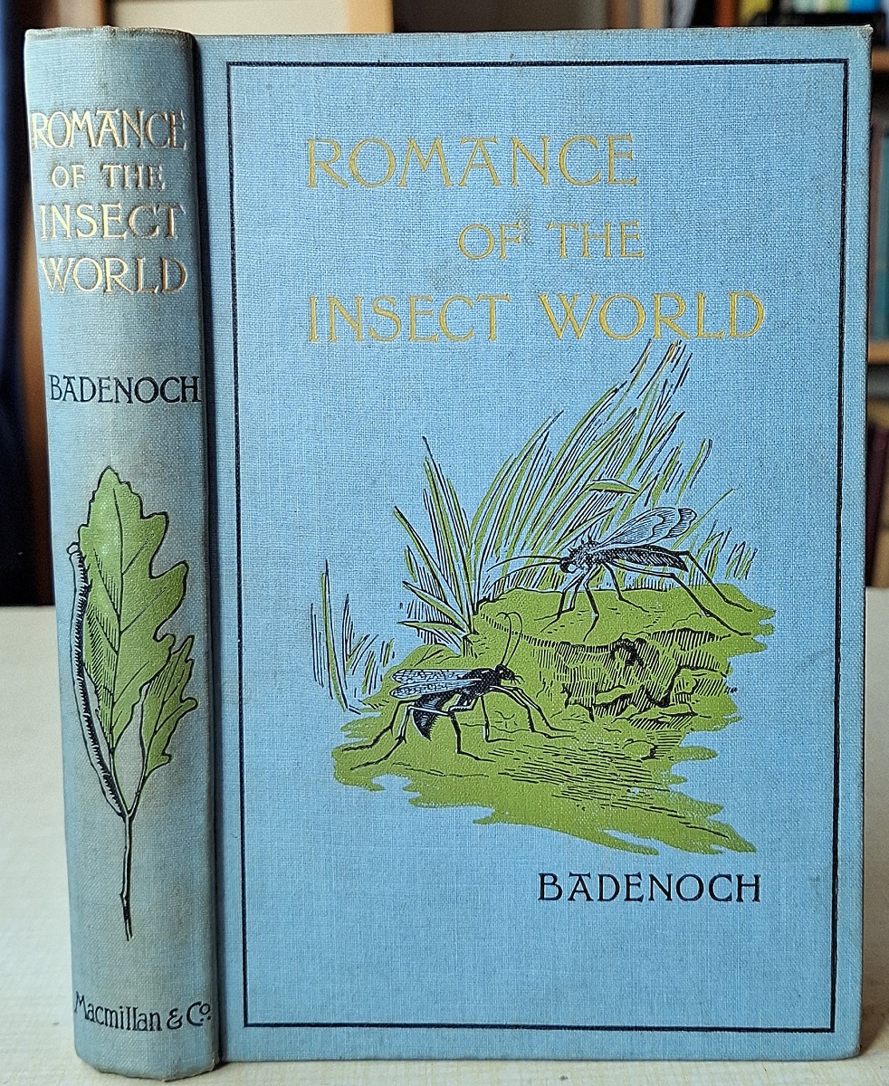 Romance of the Insect World