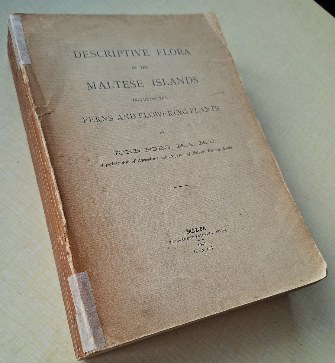 Descriptive Flora of the Maltese Islands, including the ferns and flowering plants