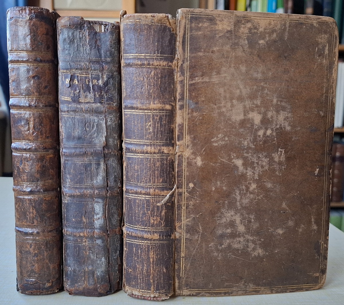 Spectacle de la Nature: or, Nature Display'd. Being Discourses on such particulars of natural history as were thought most proper to excite the curiosity and form the minds of youth. 3 volumes