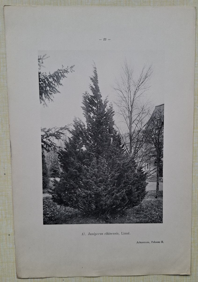 Arboretum des Barres - A set of the illustrations