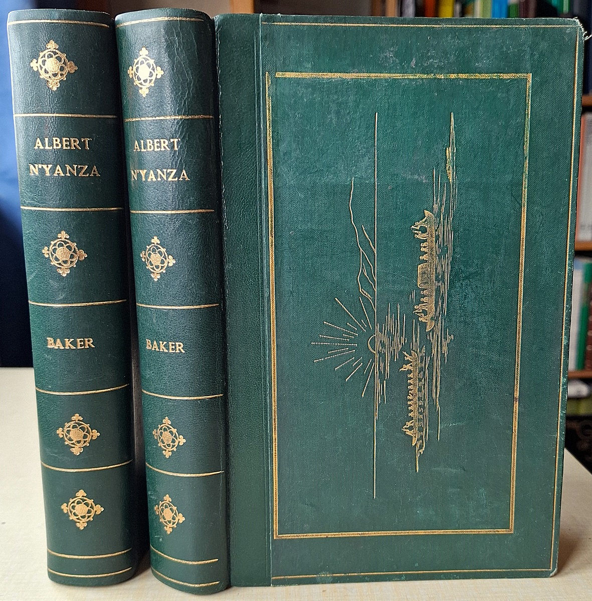 The Albert N'yanza, Great Basin of the Nile, and Explorations of the Nile Sources