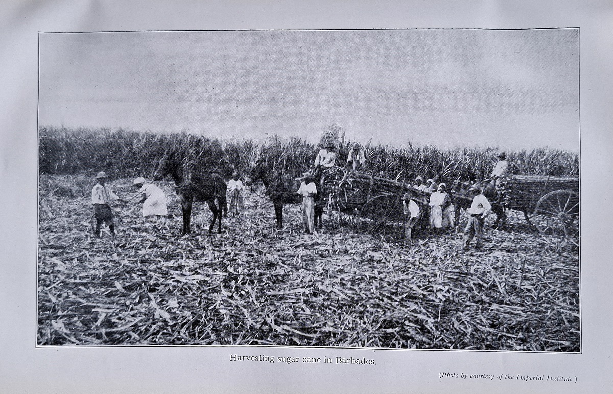 Agriculture in the West Indies - compiled from documents supplied to the West India Royal Commission, 1938-1939, and other sources