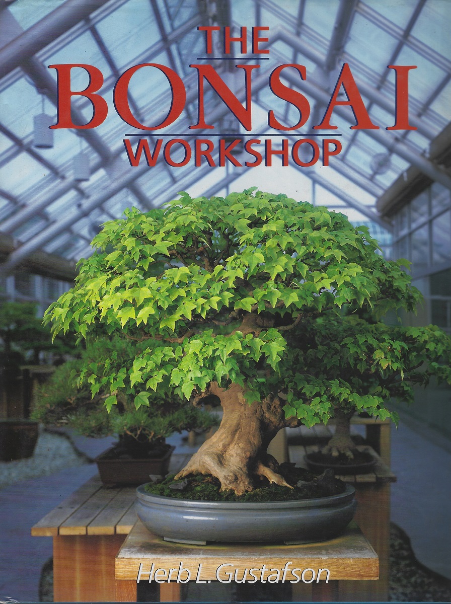 The Bonsai Workshop
