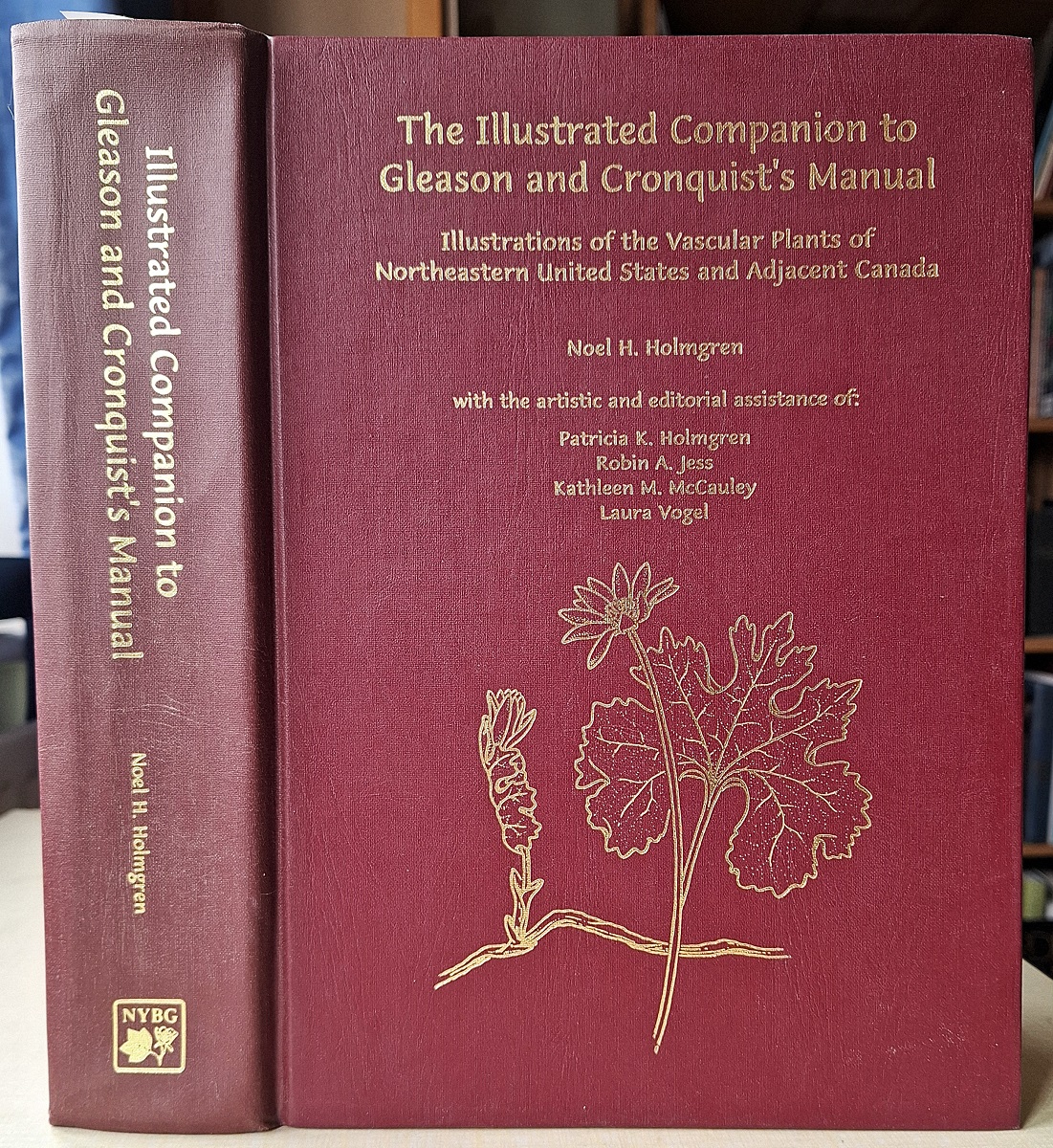 Illustrated Companion to Gleason and Cronquist's Manual: Illustrations of the Vascular Plants of Northeastern United States and Adjacent Canada