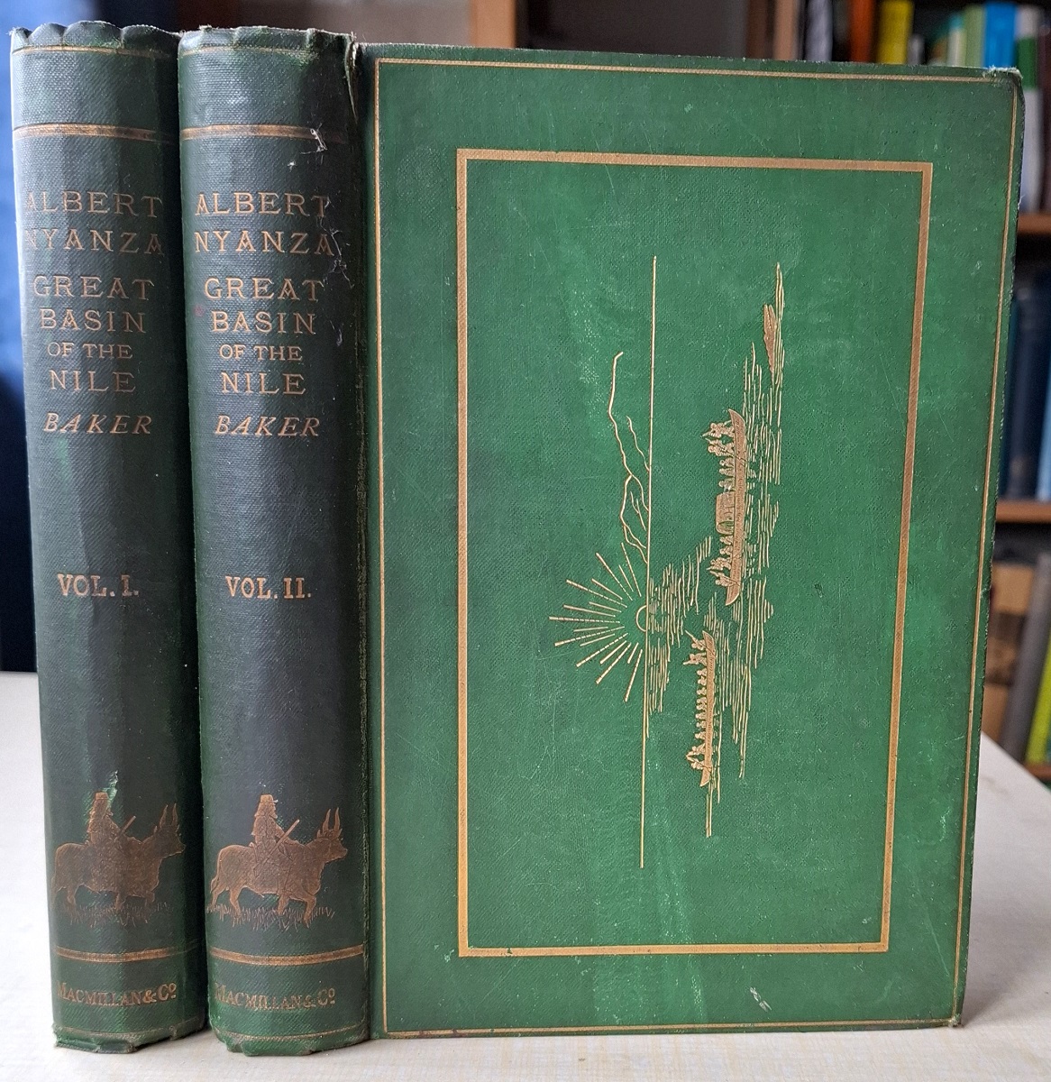 The Albert N'yanza, Great Basin of the Nile and Explorations of the Nile Sources