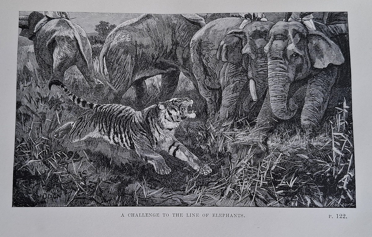 Wild Beasts and their Ways - Reminiscences of Europe, Asia, Africa and America