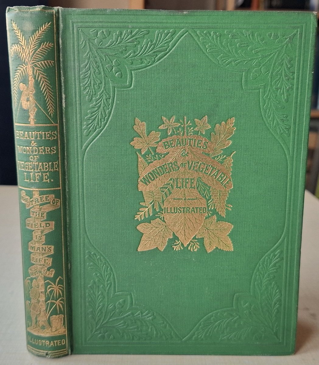 Beauties and Wonders of Vegetable Life; or, rambles in parks, forests, conservatories, orchards, gardens, fields, and heaths