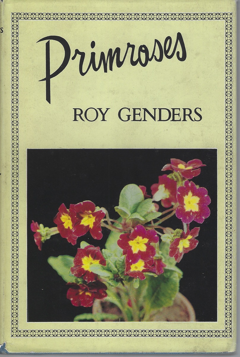 Primroses