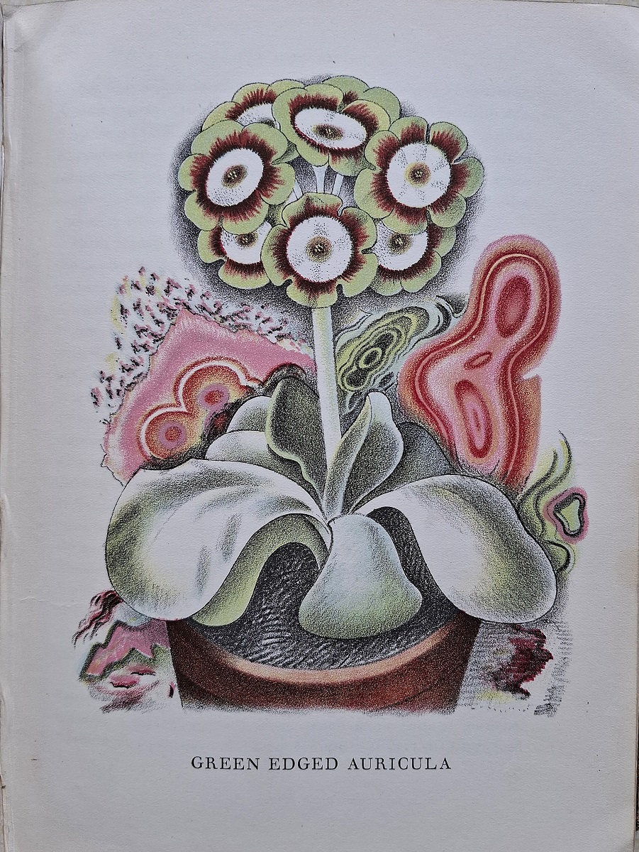 Old Fashioned Flowers