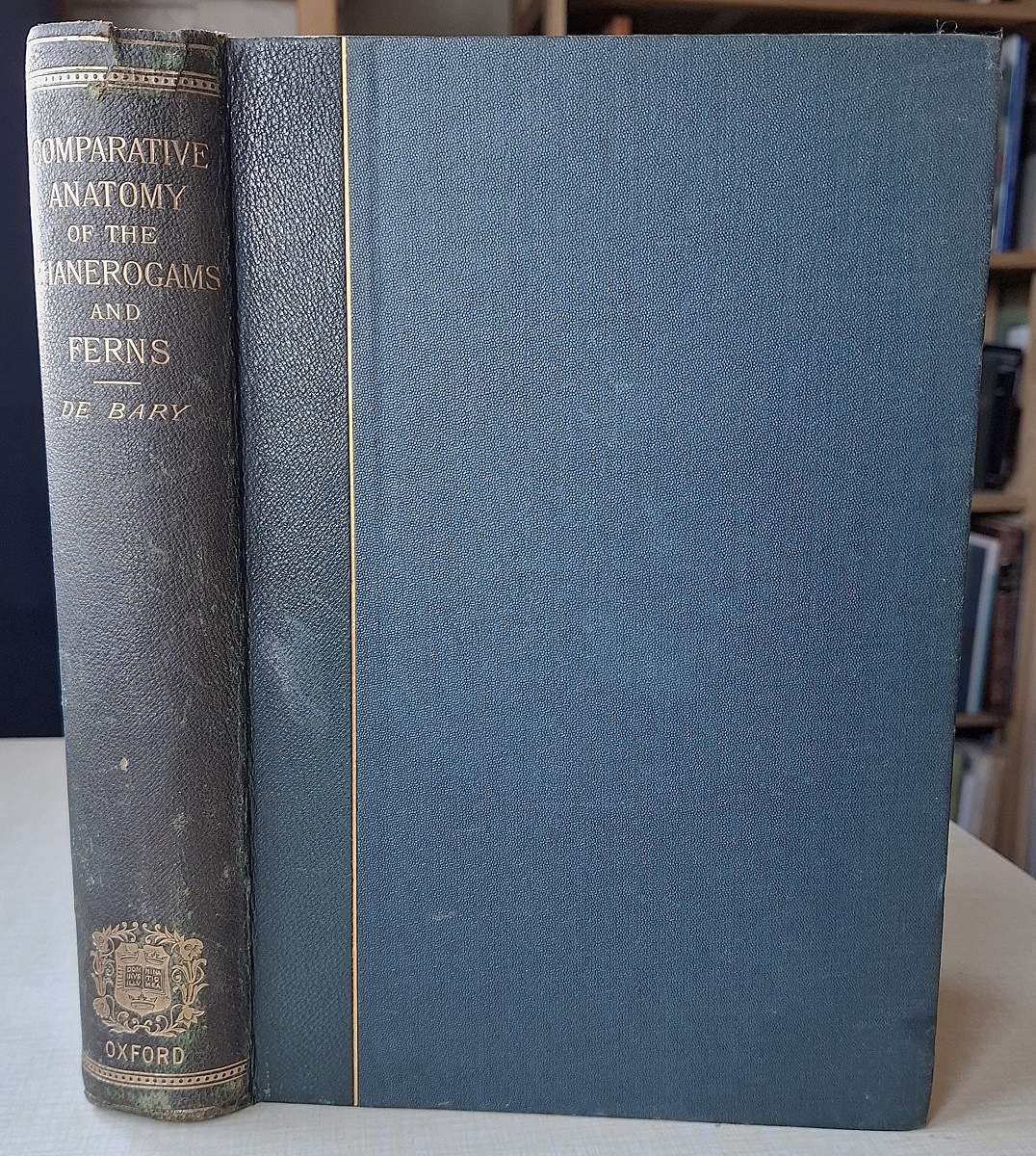Comparative Anatomy of the Vegetative Organs of the Phanerogams and Ferns. Translated by F.O. Bower & D.H. Scott