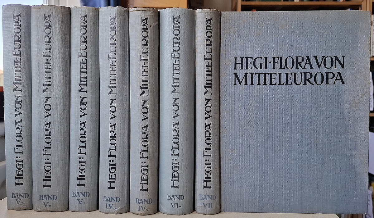 Illustrierte Flora von Mitteleuropa. Volumes IV (2 & 3); V (1, 2 & 3); VI (2); VII