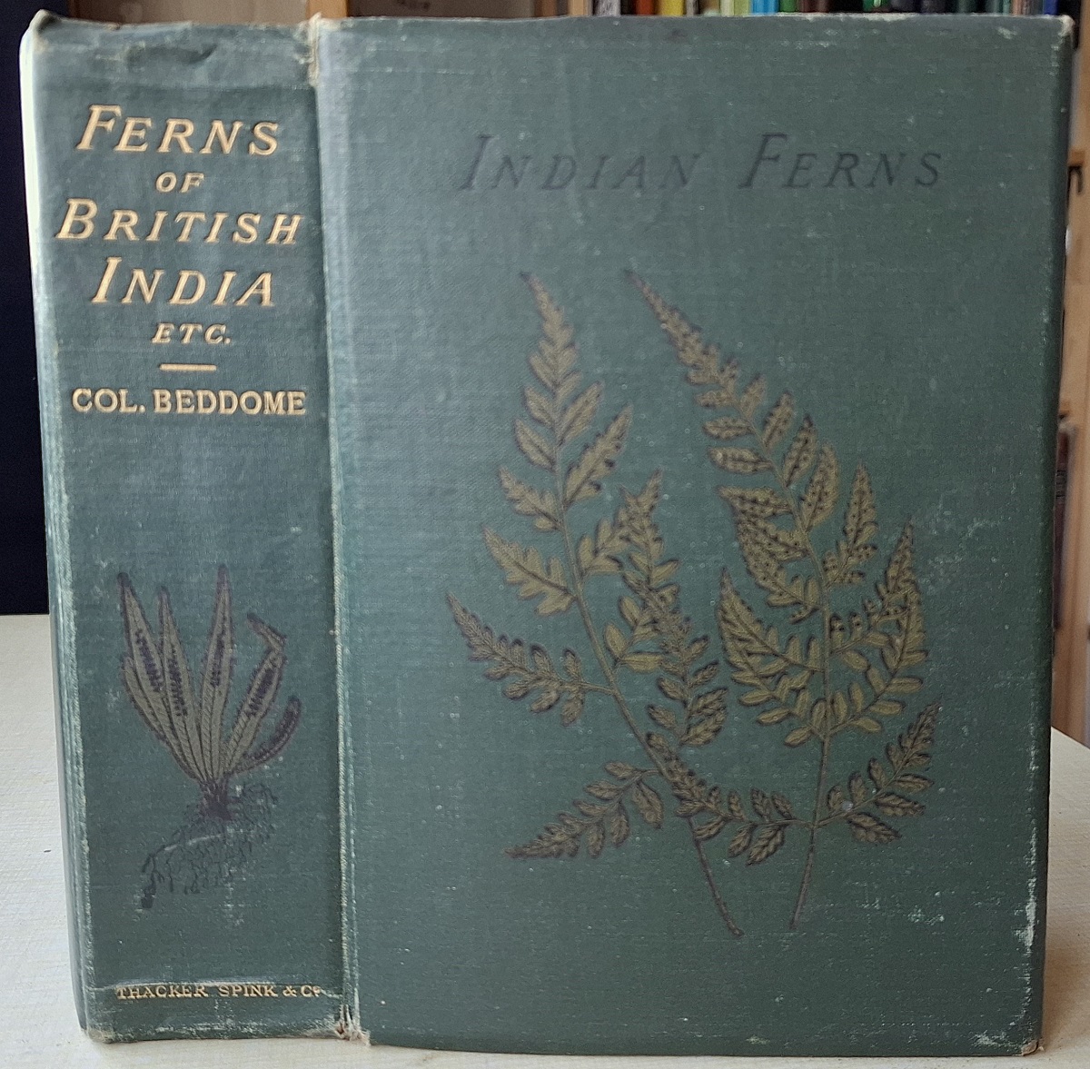 Handbook to the Ferns of British India, Ceylon and the Malay Peninsula