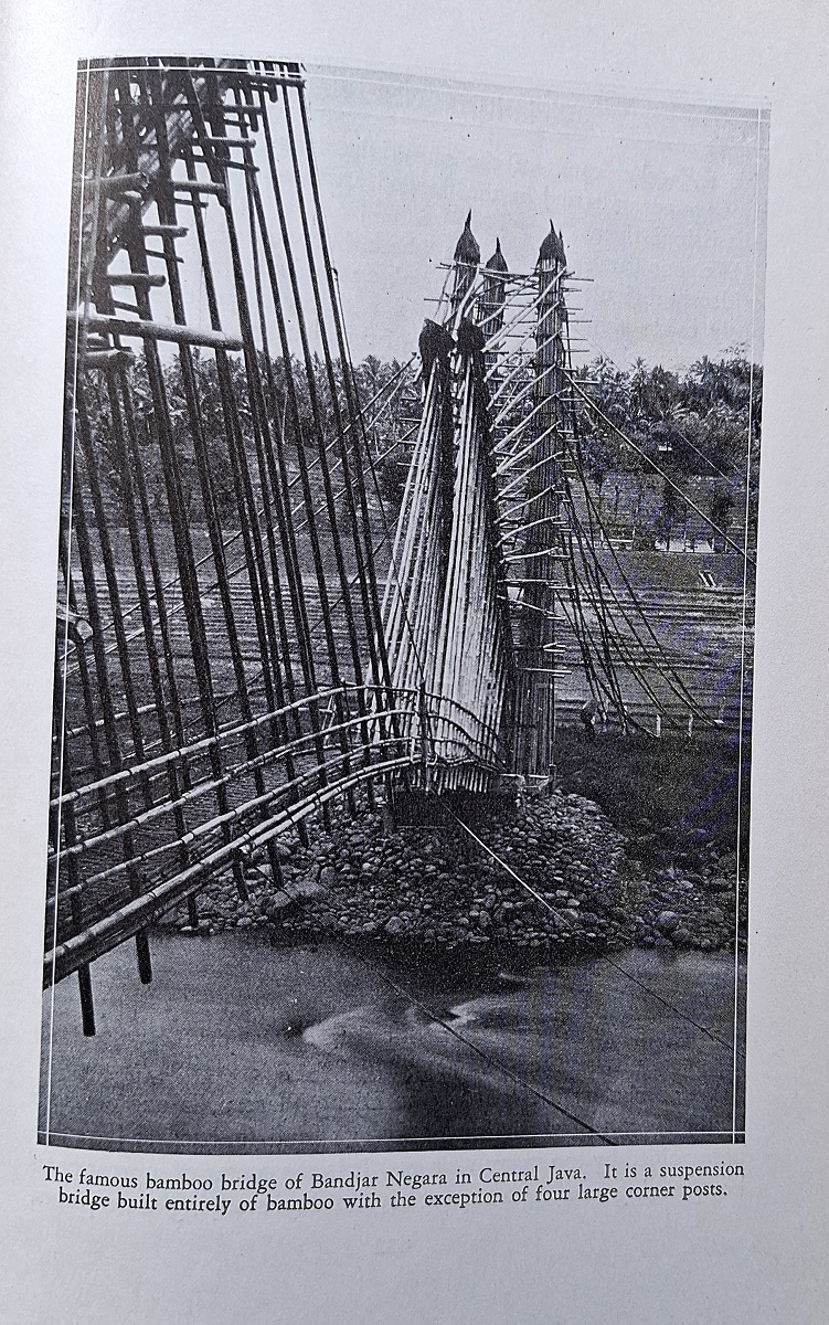 Exploring for Plants: From Notes of the Allison Vincent Armour Expeditions for the United States Department of Agriculture, 1925, 1926, and 1927