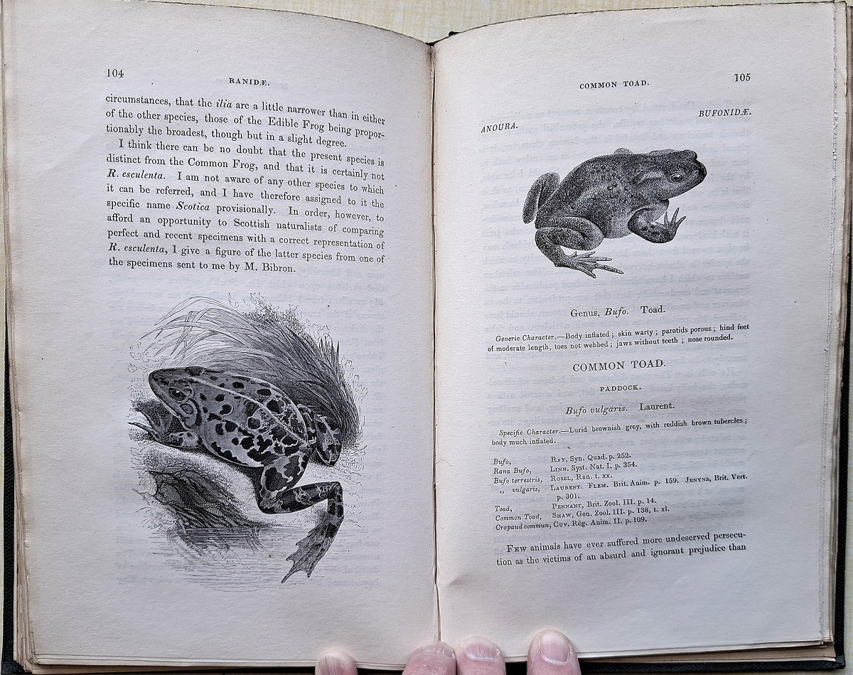 A History of British Reptiles