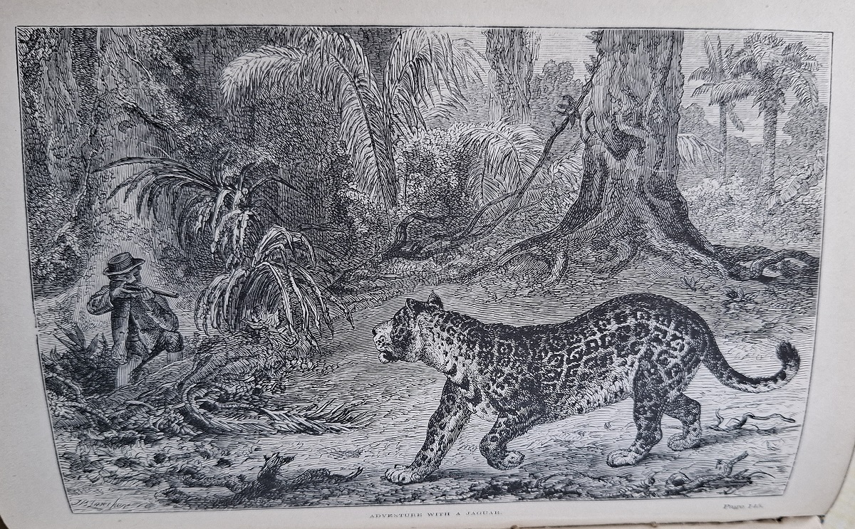 The Naturalist in Nicaragua: A Narrative of a Residence at the Gold Mines of Chontales; Journeys in the Savannahs and Forests. with Observations on animals and plants in reference to the theory of evolution of living forms [Anthony Huxley's copy]