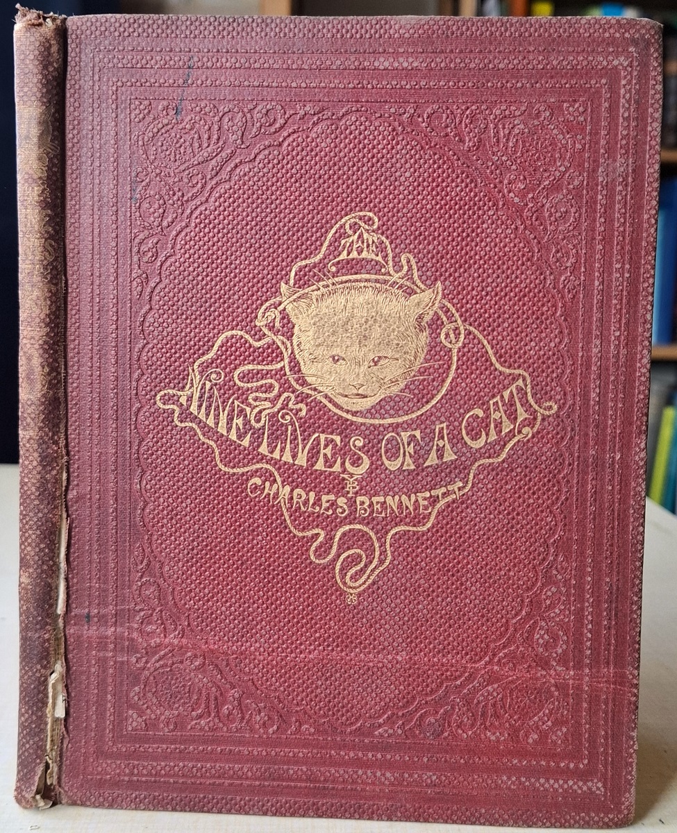 The Nine Lives of a Cat - a tale of wonder