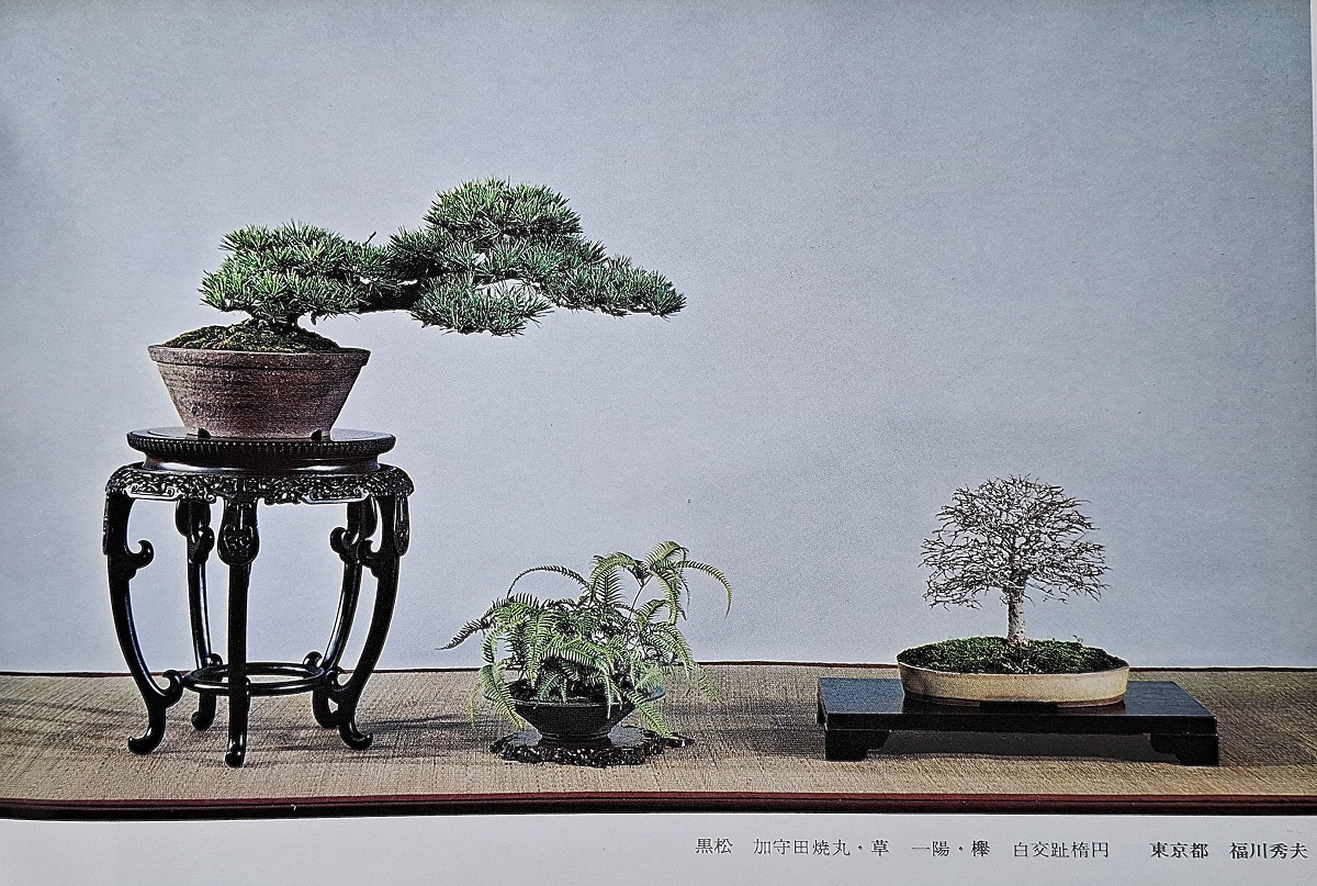 Commemorative Book of the Chinese Style National Bonsai Exhibition