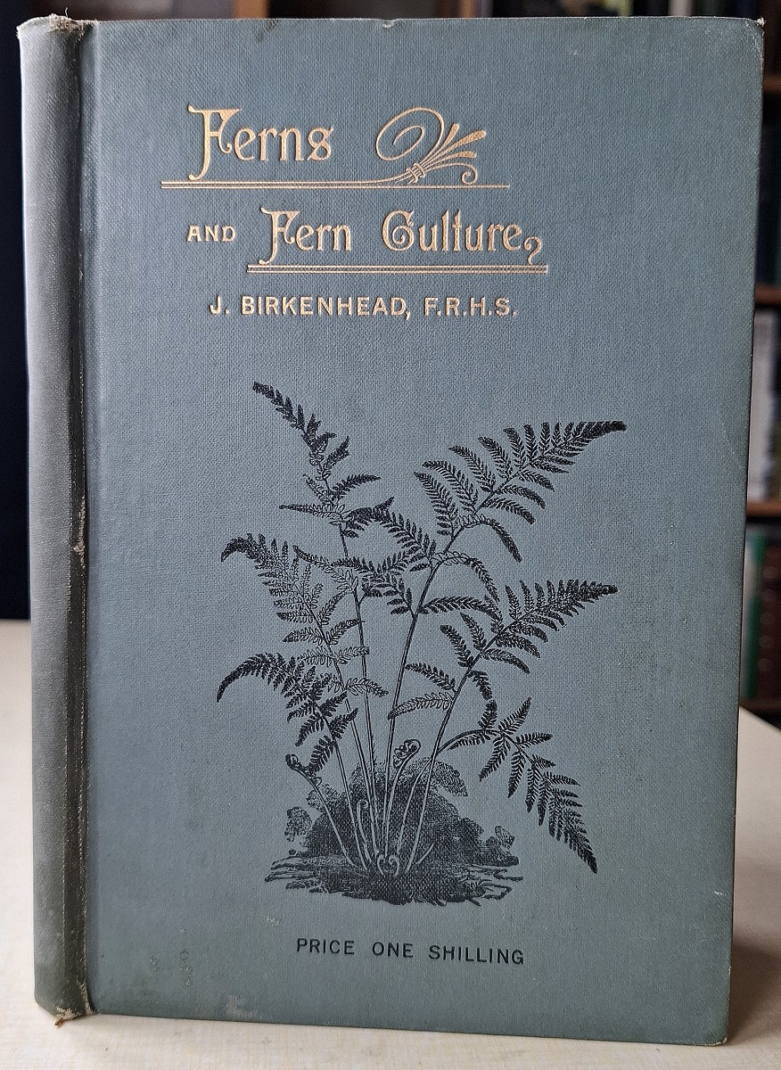 Ferns and Fern Culture