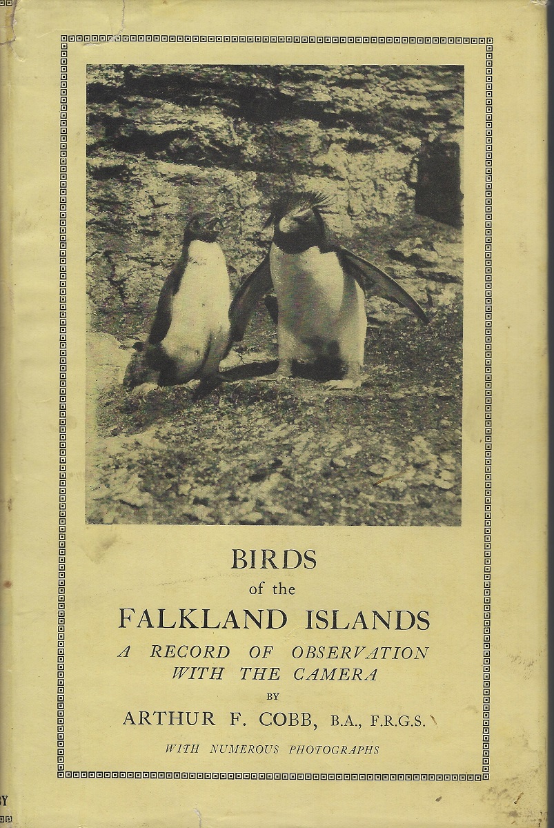 Birds of the Falkland Islands - a record of observation with a camera