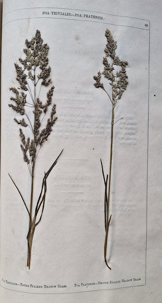 Concise Notices of British Grasses Best Suited for Agriculture, With Preserved Specimens of Each Kind