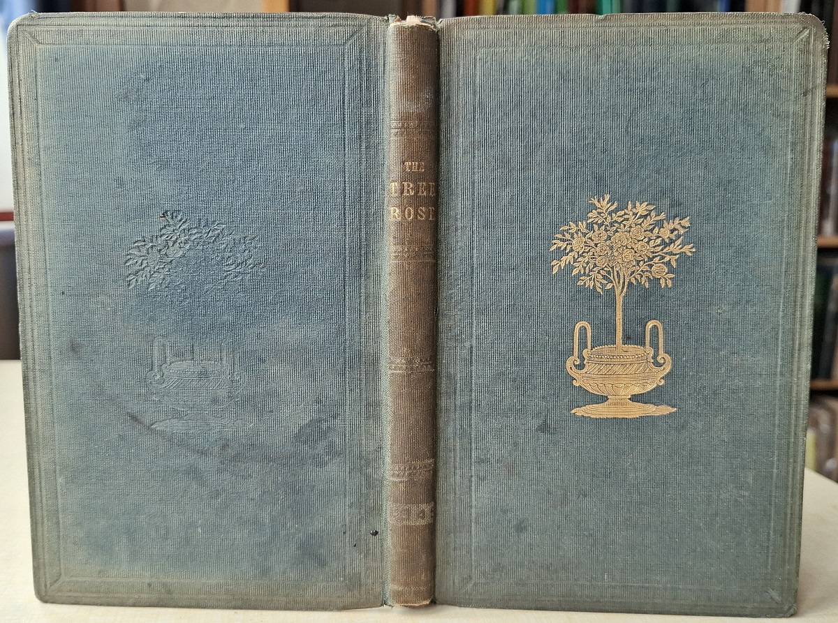 The Tree Rose: Practical Instructions for its Formation and Culture, by A.H.B.