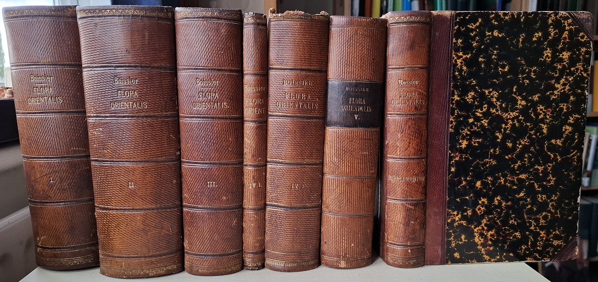 Flora Orientalis, sive enumeration plantarum in oriente a graecia et Aegypto as Indie fines hucusque observatarum