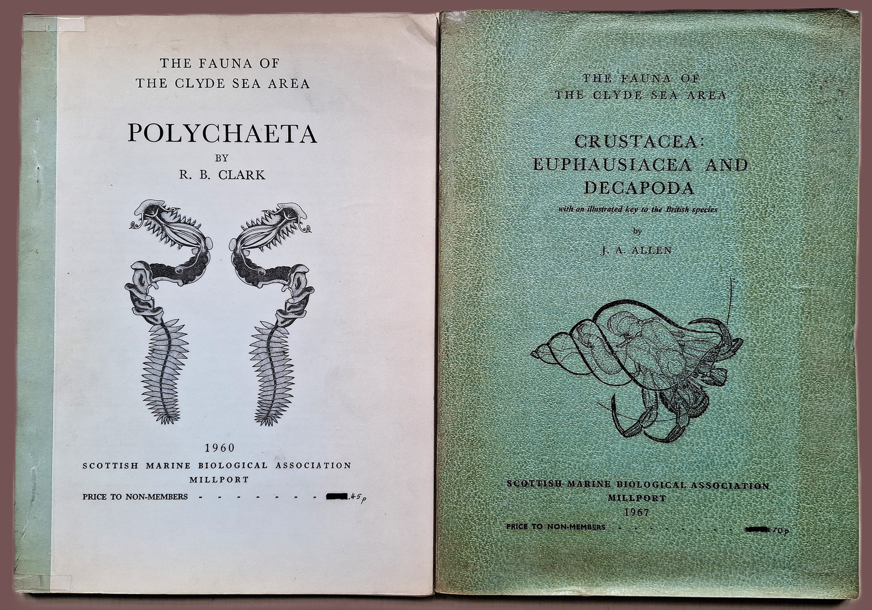 The Fauna of the Clyde Sea. Polychaeta; Crustacea: Euphausiacea and Decapoda