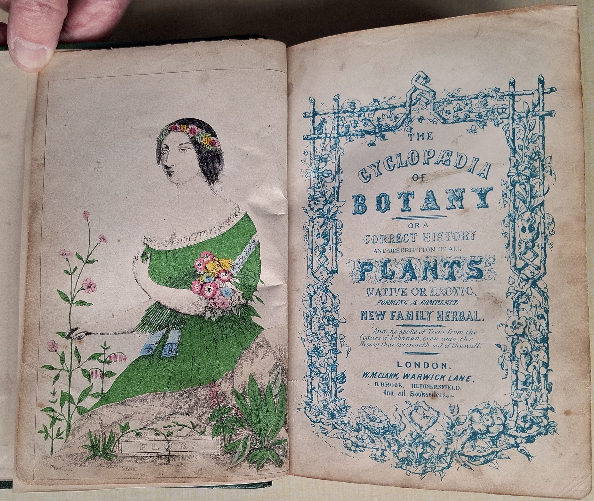 New Cyclopaedia of Botany and Complete Book of Herbs: forming a history and description of all plants British or foreign