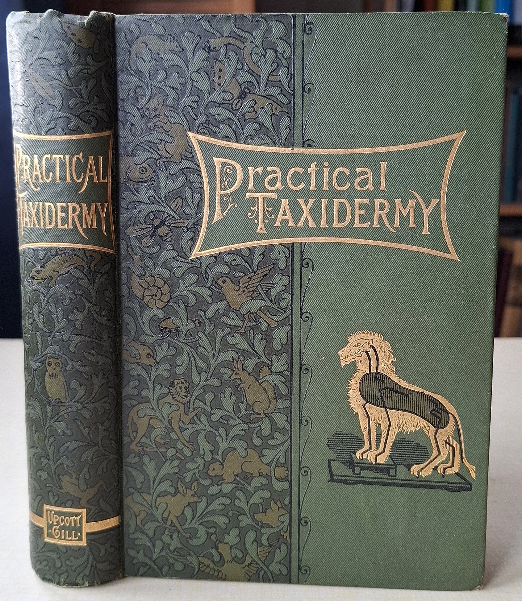 Practical Taxidermy: a manual of instruction to the amateur in collecting, preserving, and setting up natural history specimens of all kinds. To which is added a chapter upon the pictorial arrangement of museums