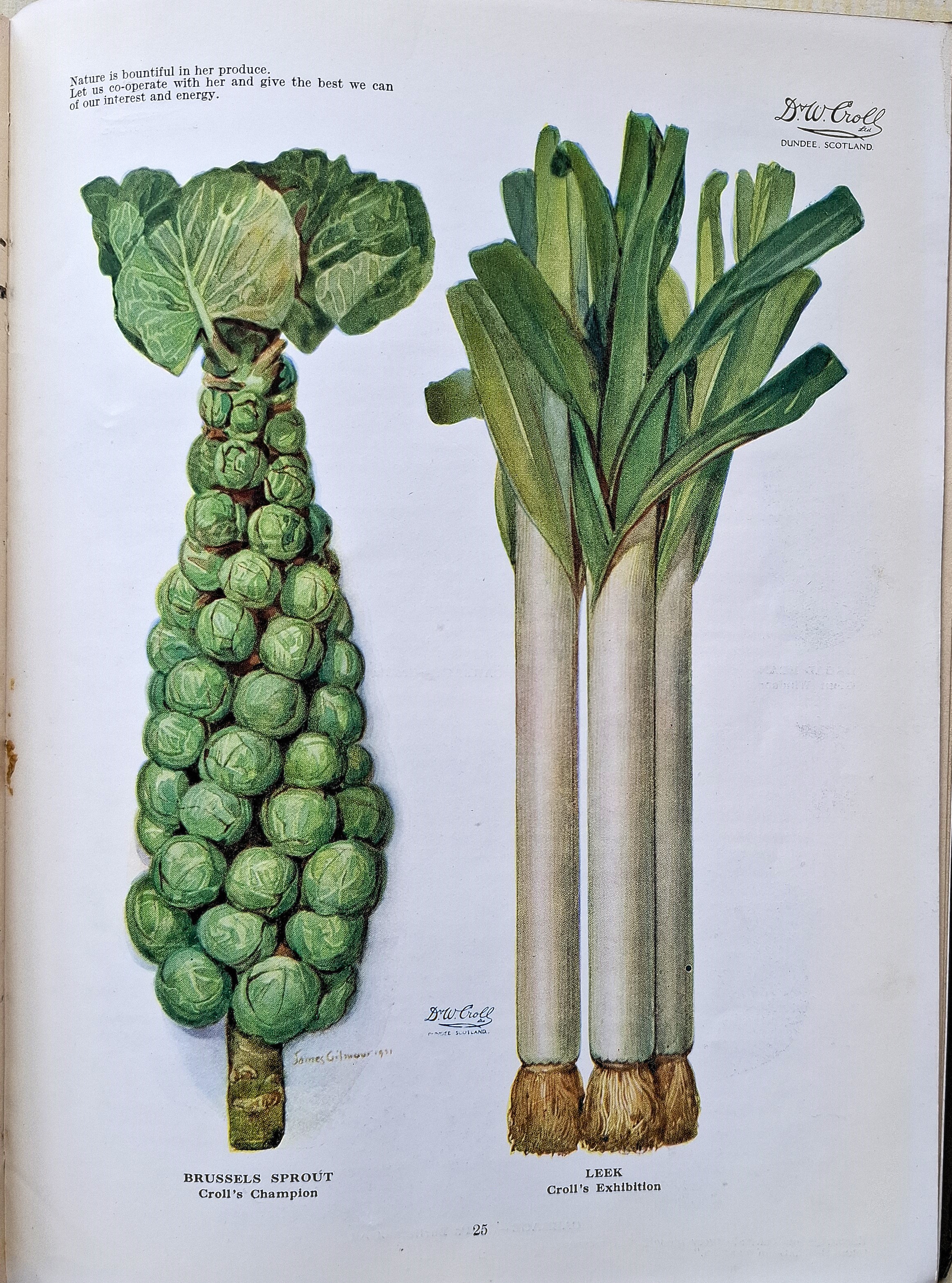 Good Seeds for Your Garden - Spring 1933