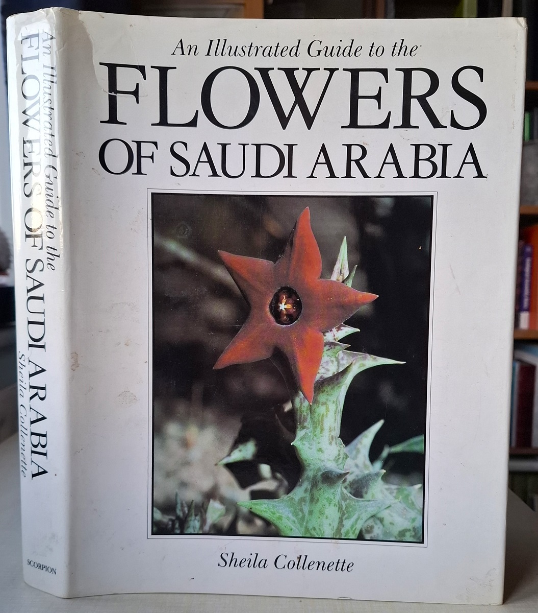 An Illustrated Guide to the Flowers of Saudi Arabia [Jan Gillett's copy]