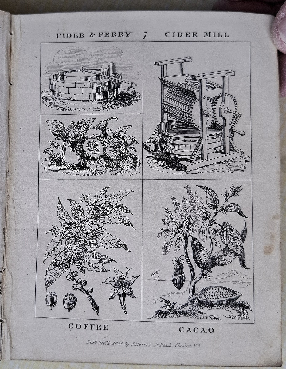 Key to Knowledge; or, Things in Common Use Simply and Shortly Explained - By A Mother