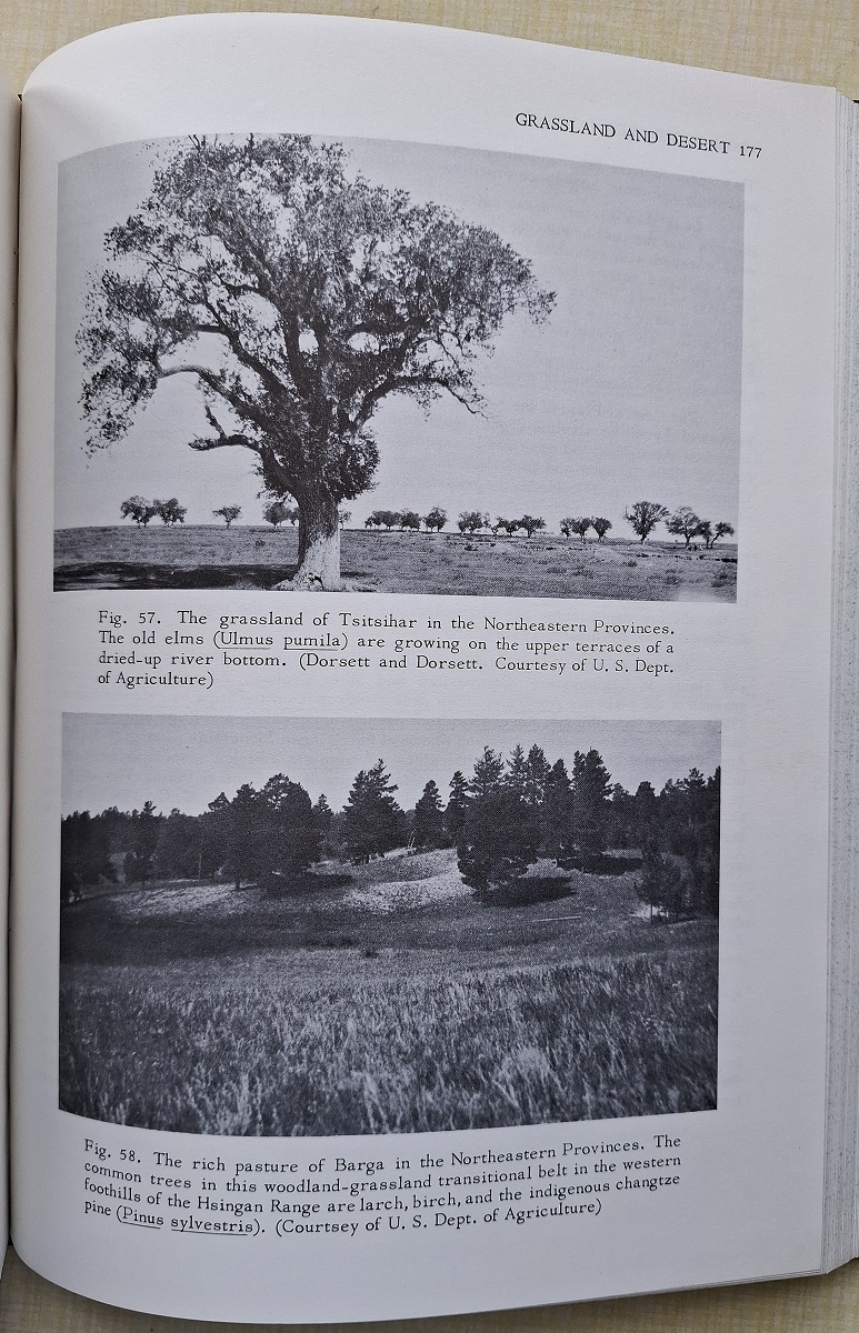 The Forests of China, with a survey of grassland and desert vegetation