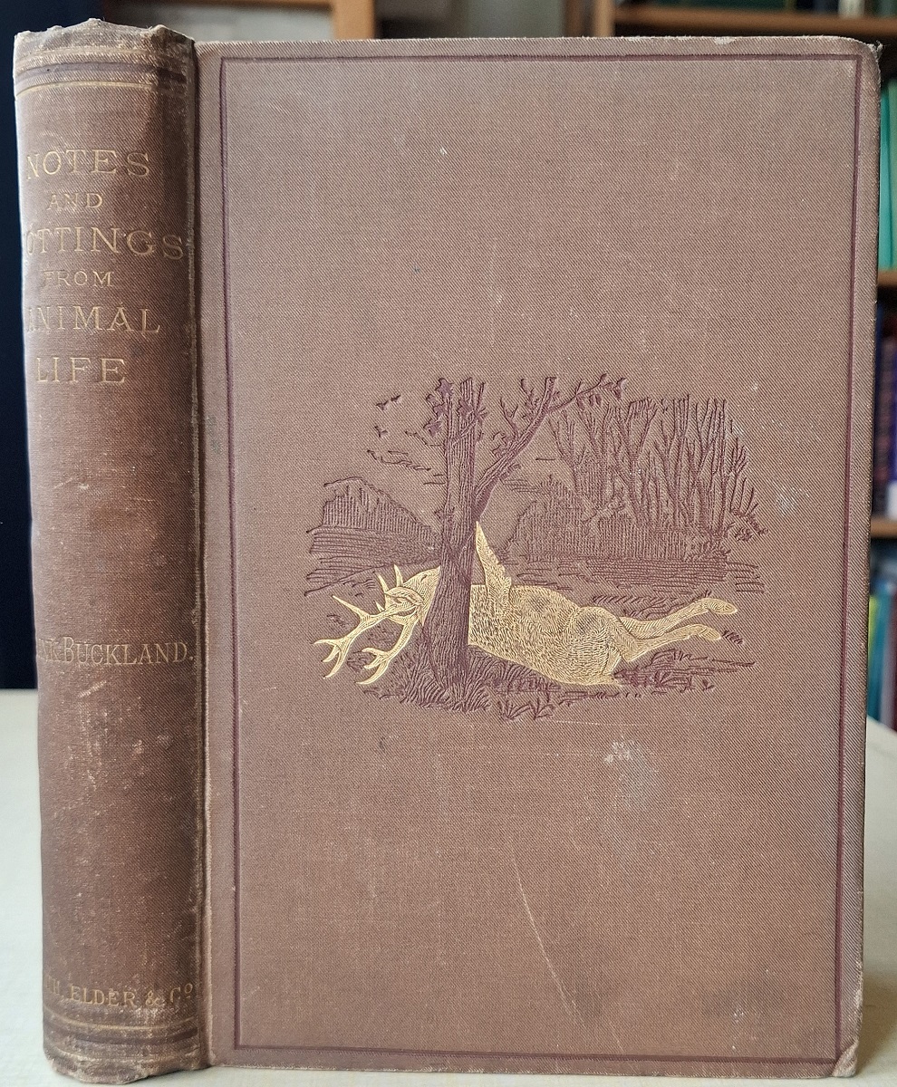Notes and Jottings from Animal Life