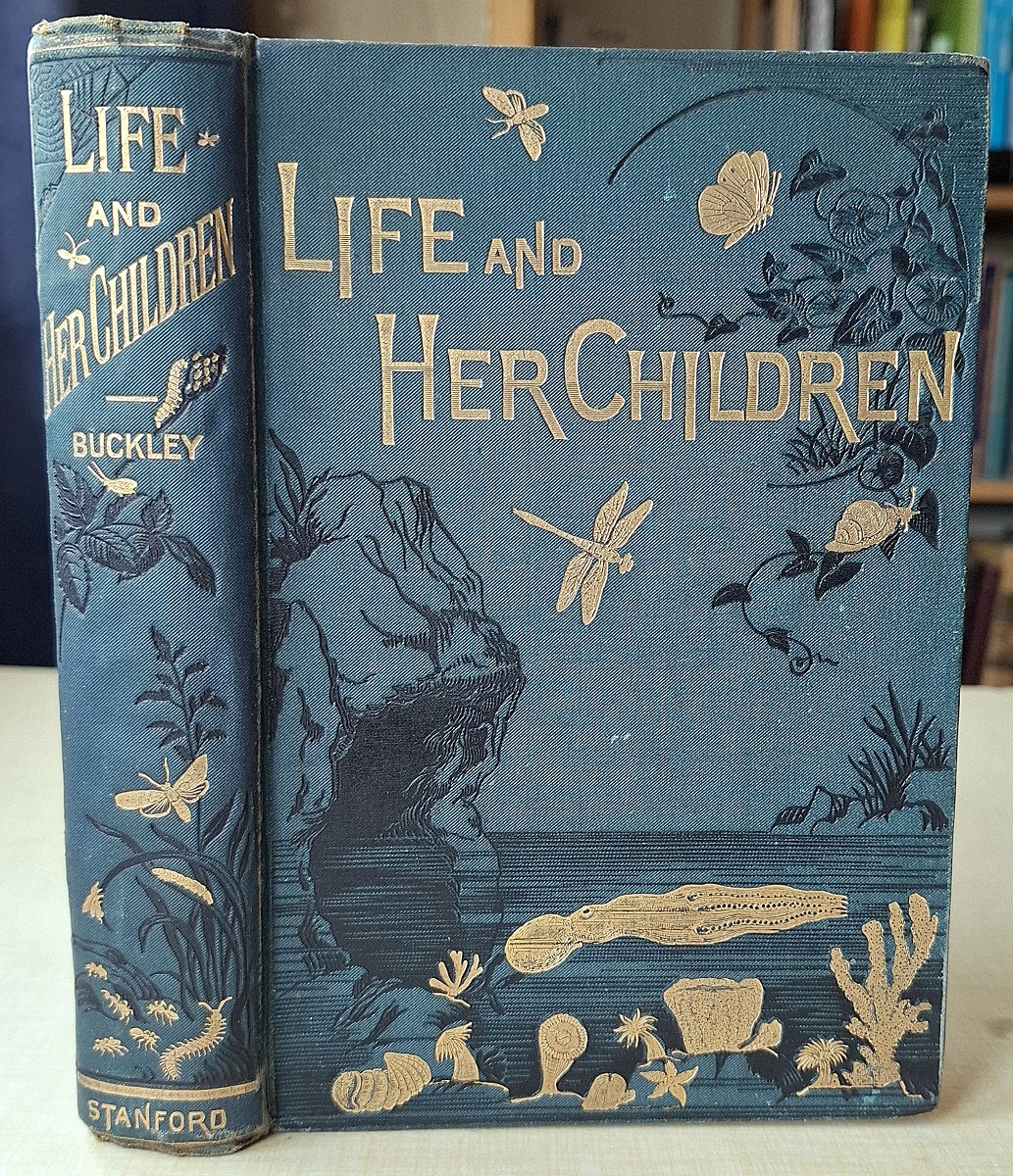Life and Her Children - Glimpses of Animal Life From the Amoeba to the Insects