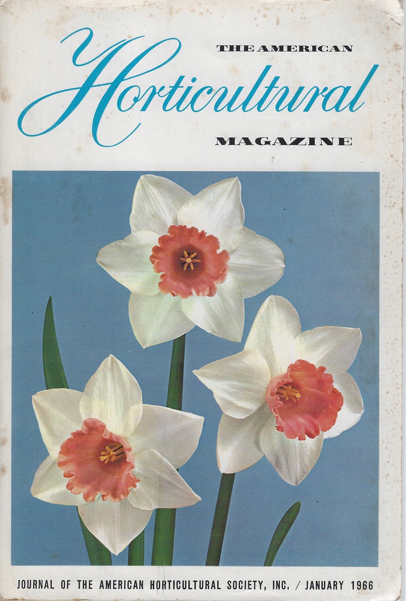Daffodil Handbook - a special issue of the American Horticultural Magazine