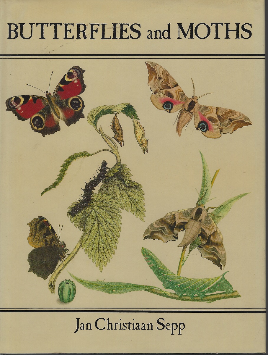 Butterflies and Moths (complete with slip-case]