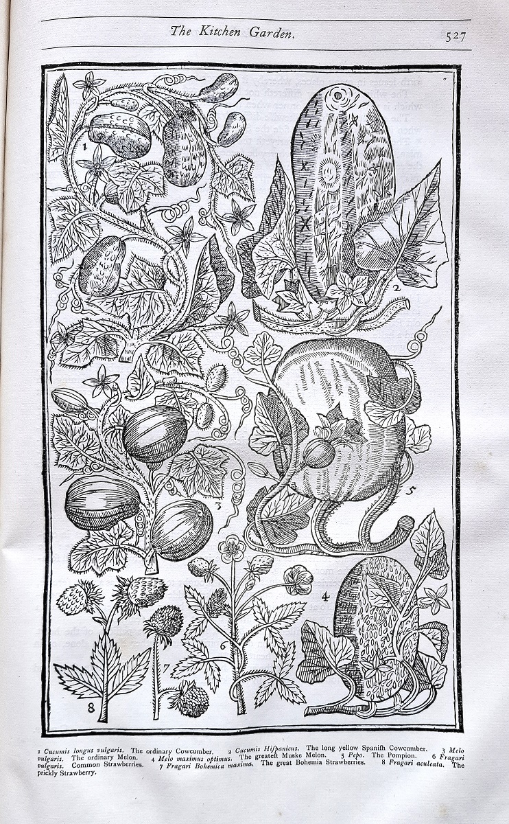 Paradisi in Sole Paradisus Terrestris, faithfully reprinted from the edition of 1629