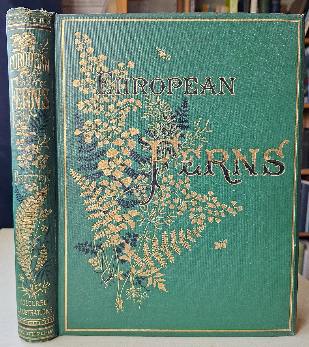 European Ferns. with coloured illustrations by D. Blair